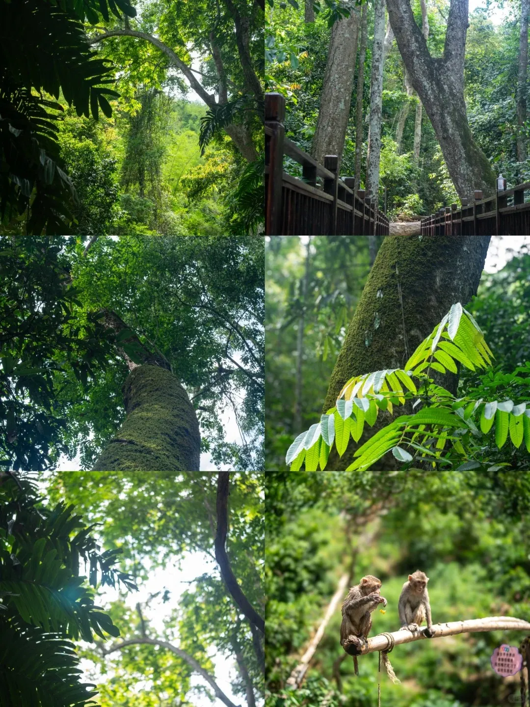 6b8266ab404b296be4869715b275d222-sz_4609137 6b8266ab404b296be4869715b275d222-sz_4609137