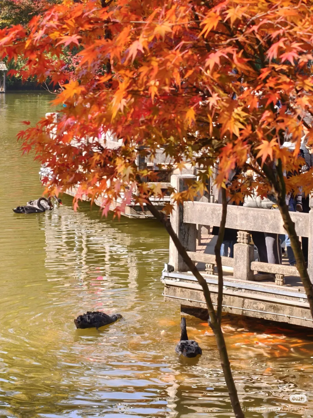 6b84aff6b48bc2e188c3bd72b1a3118e-sz_1931793