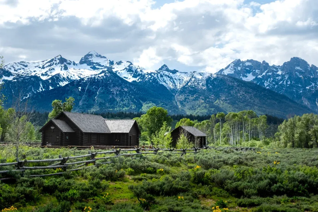 6c0067a8205d2fb4eb14bbfb018c6e46-sz_2502971 6c0067a8205d2fb4eb14bbfb018c6e46-sz_2502971