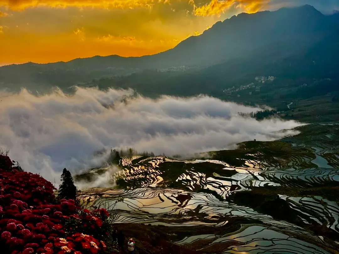 6c0478b8d52c1349a4ea71246cc9c3c8-sz_2309673