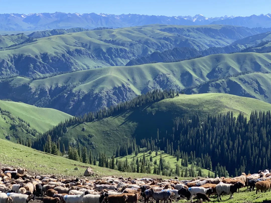 6c0d91b60b7346c3f3f758bd2e36831c-sz_7415155-1 6c0d91b60b7346c3f3f758bd2e36831c-sz_7415155-1