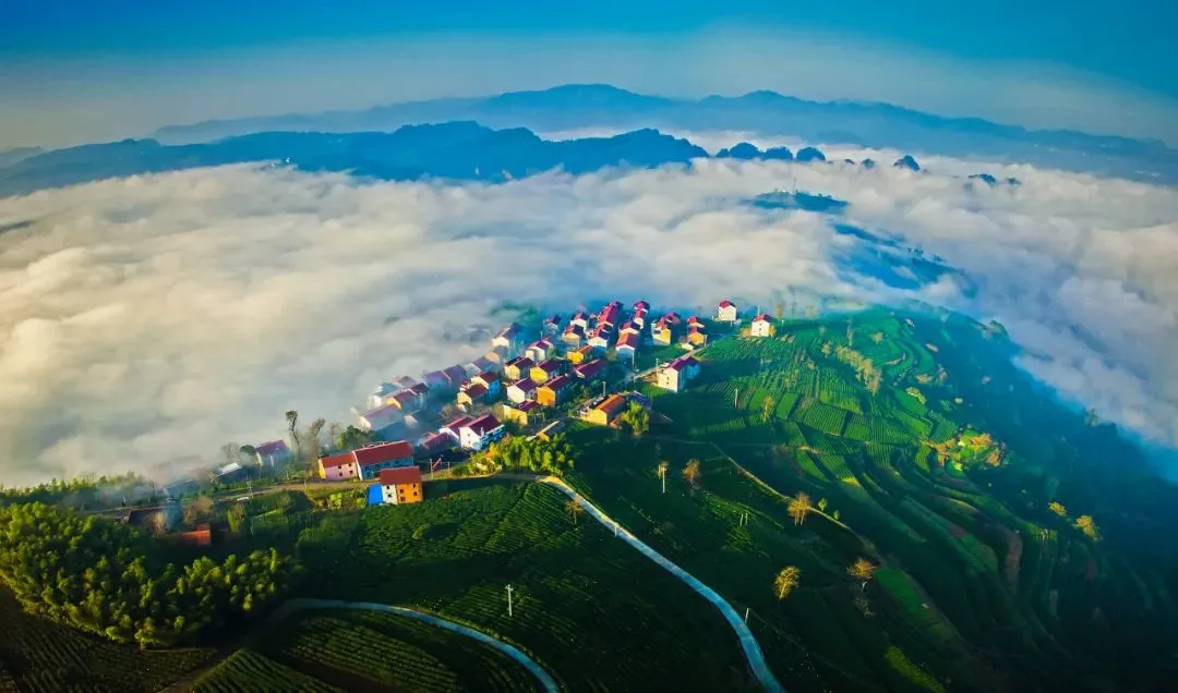 6c2f8e03beebf215a3fef3f2237c818d-sz_96349 6c2f8e03beebf215a3fef3f2237c818d-sz_96349