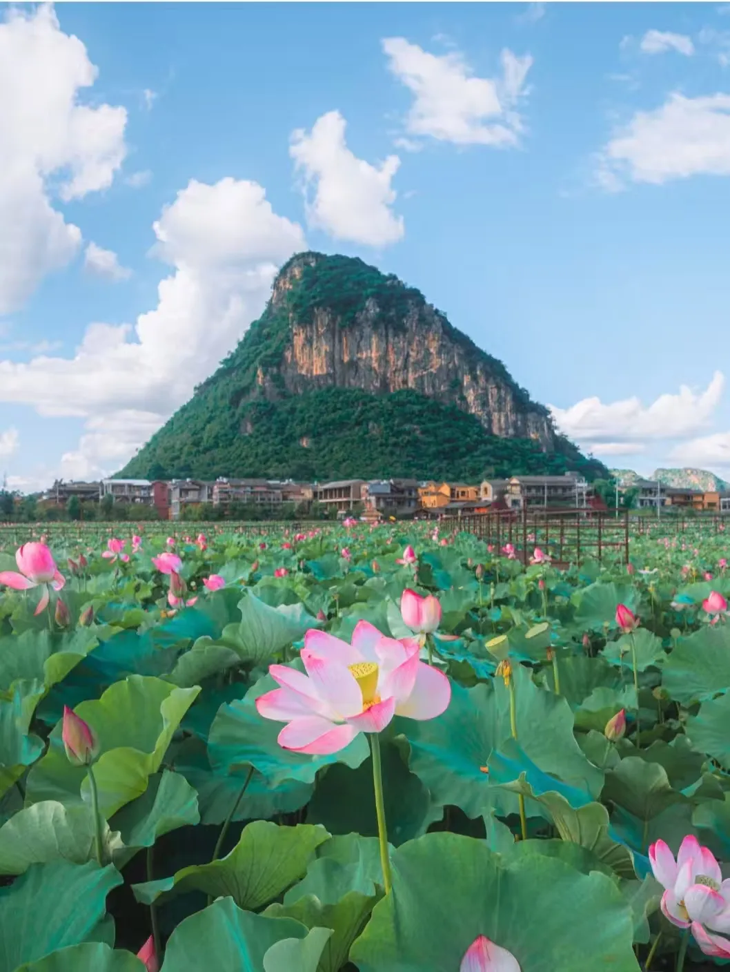 6c3e54bea756c157b5b294cd864f8d37-sz_371493