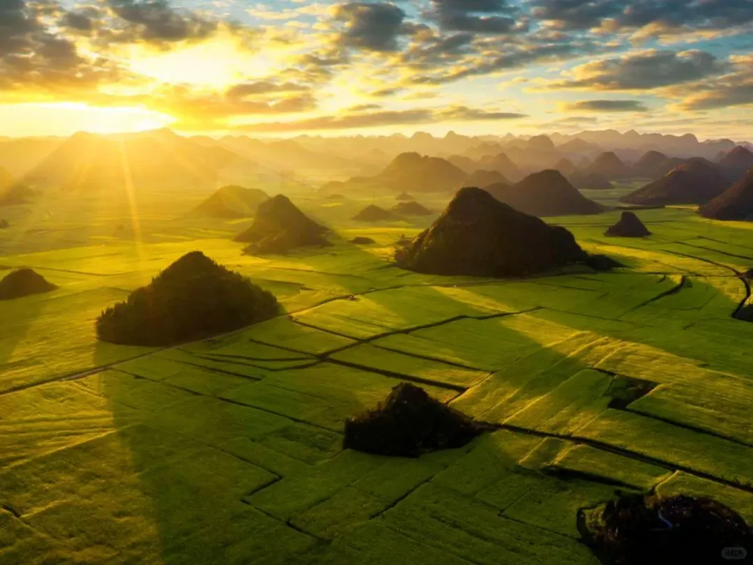 6c62d3acf29bd13b9d3c901a0be1a52c-sz_2001532 6c62d3acf29bd13b9d3c901a0be1a52c-sz_2001532