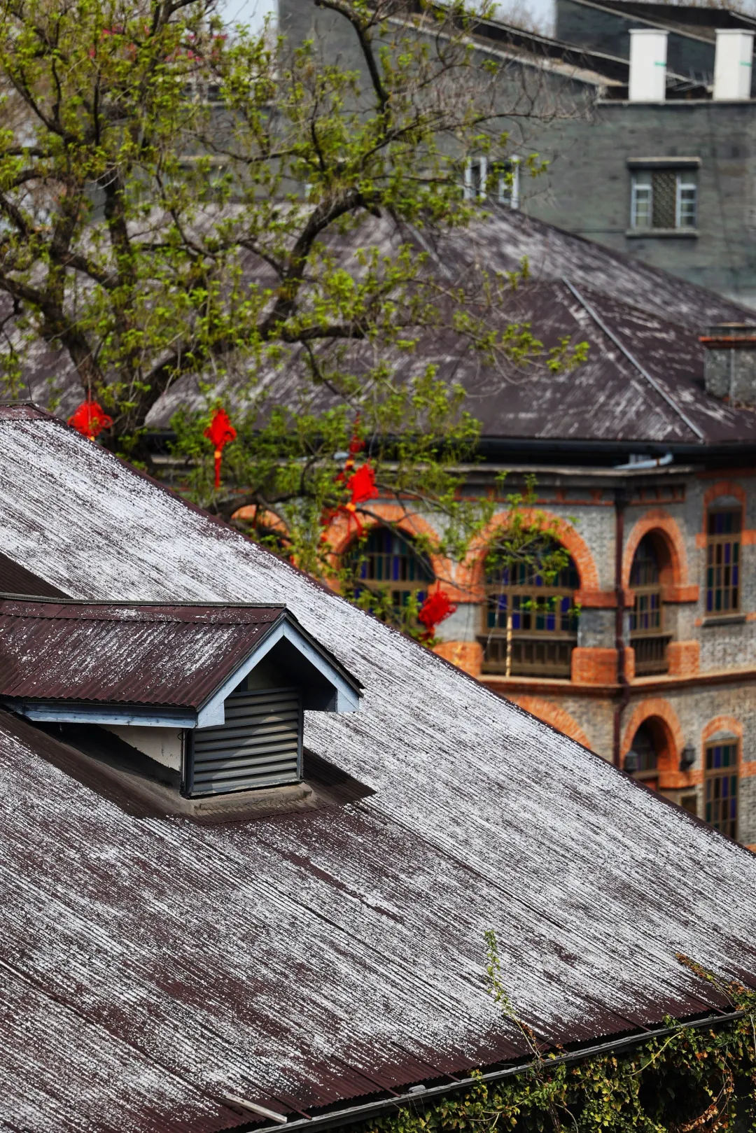 6c82c31ad2d61cd0effed0d6613517d6-sz_2089571 6c82c31ad2d61cd0effed0d6613517d6-sz_2089571