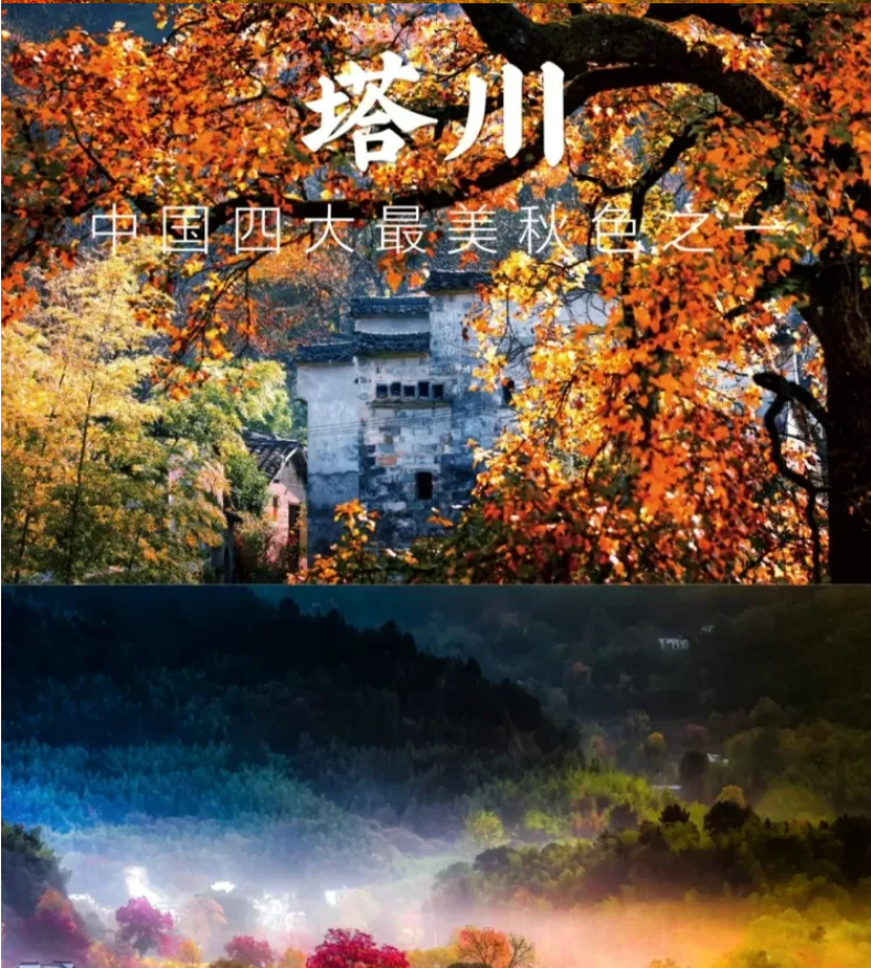 6caf6547f143c5a49781bb232eca0bb7 6caf6547f143c5a49781bb232eca0bb7