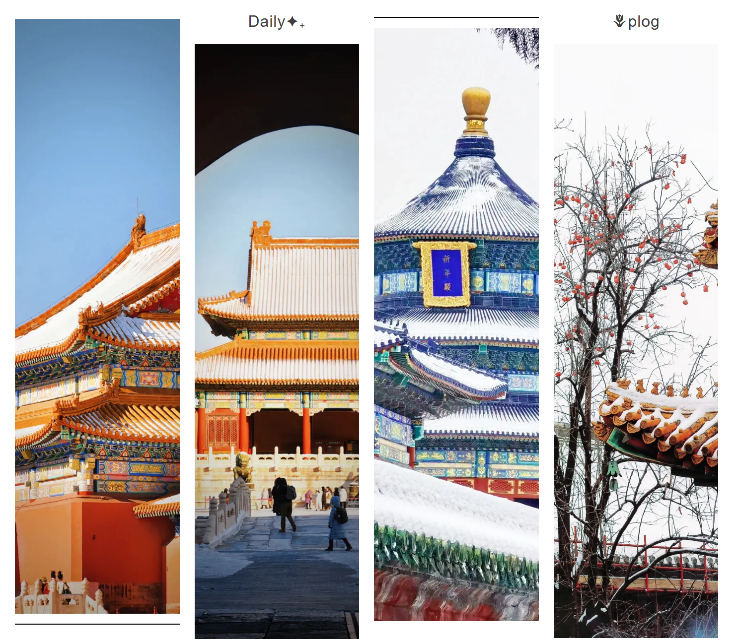 6cc4064ffa554d44e306ac0cb06fb56d 6cc4064ffa554d44e306ac0cb06fb56d