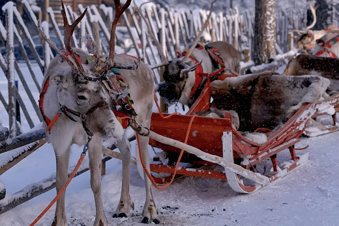 6ce65f52c2c211aafd6b97c542378b30-sz_2197093