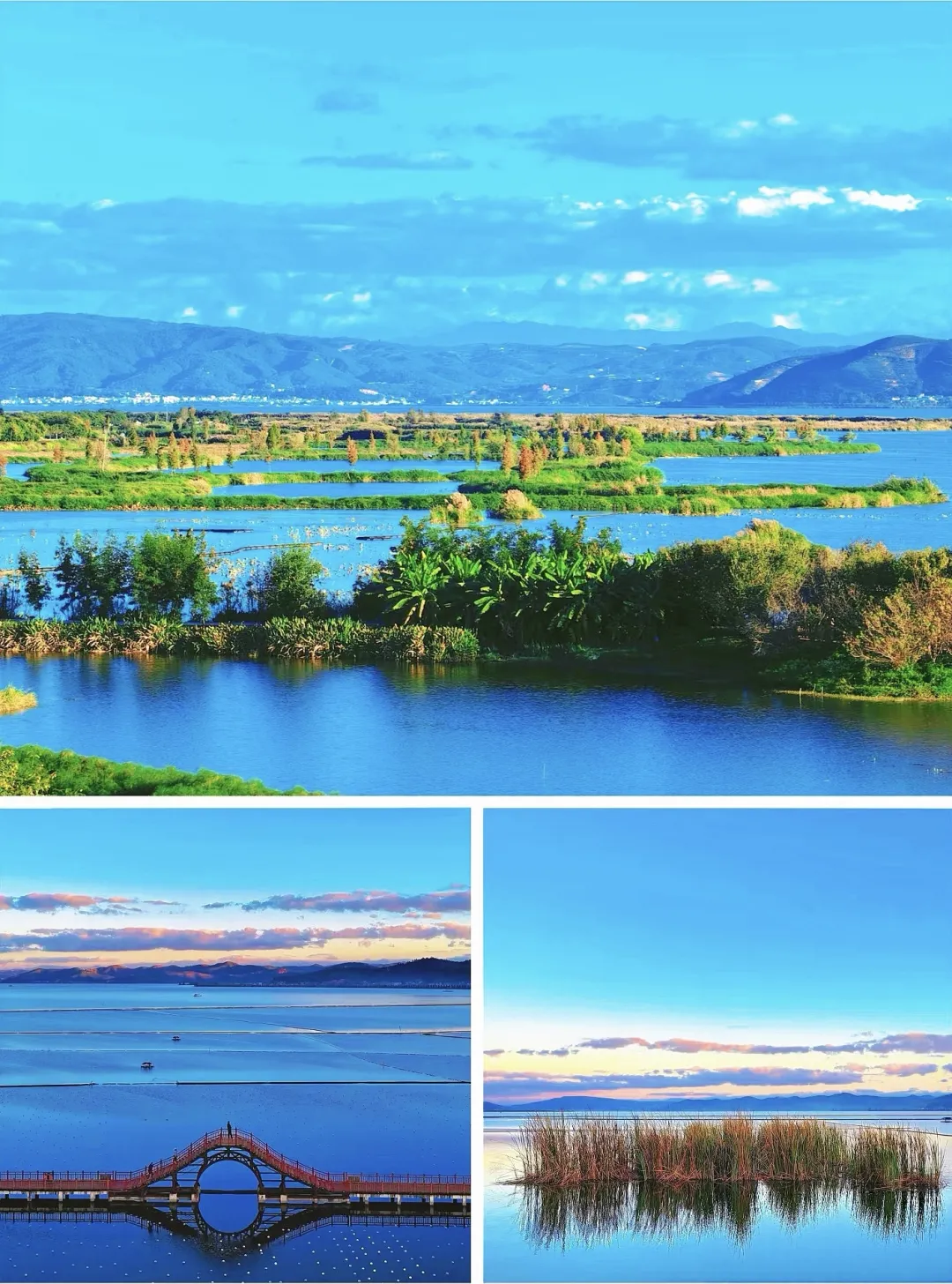 6d2ff839203a41a15f5d4ef62a8f94c3-sz_1009889