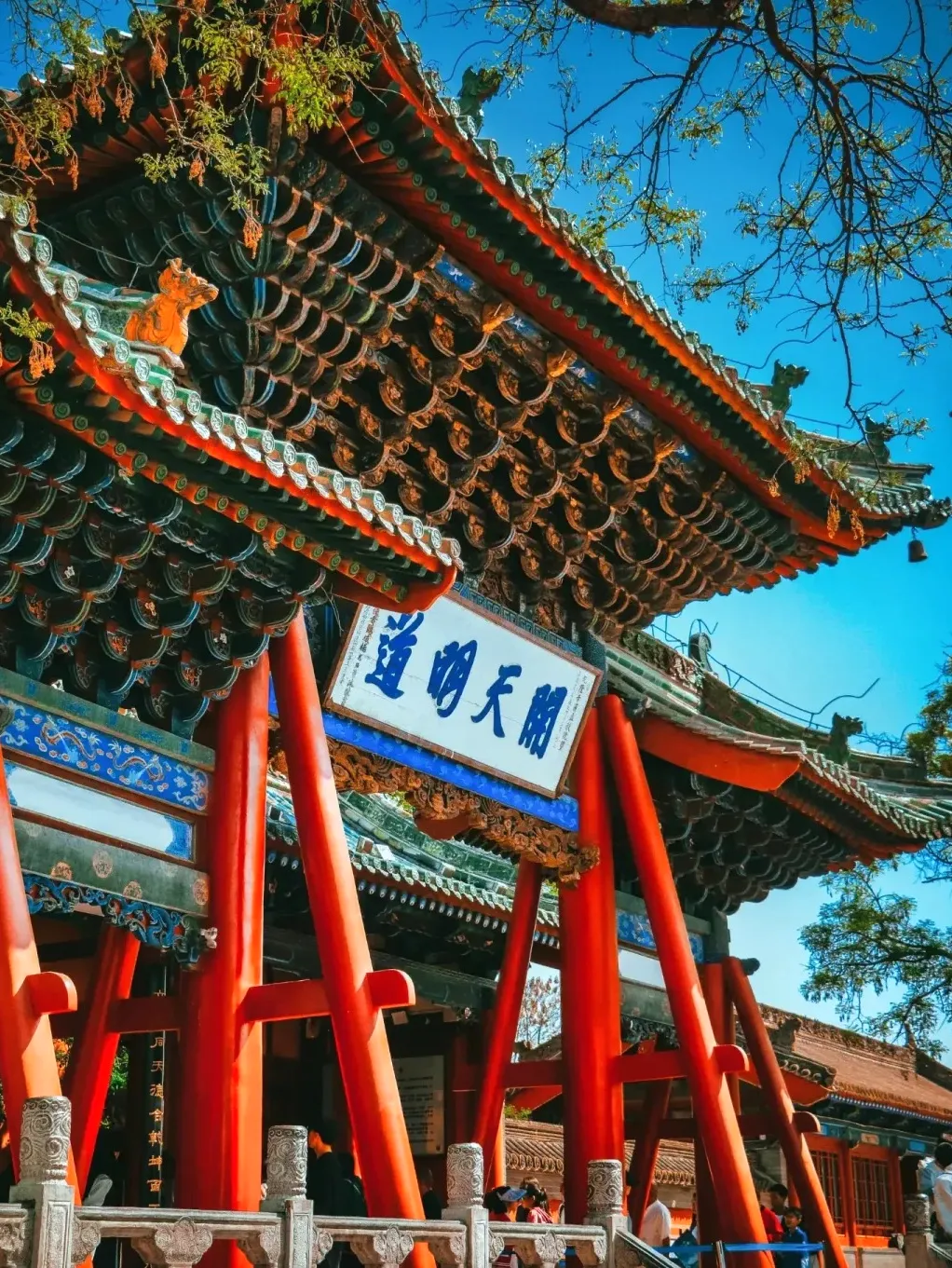 6d421ea2635e93dcc962330bc20b772e-sz_542977