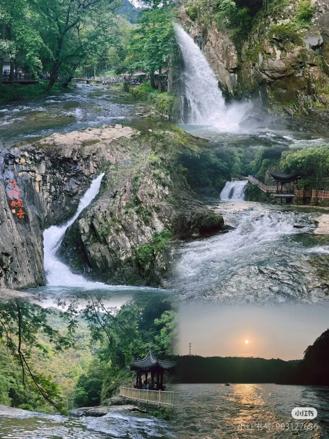 6d80a5da81a2007b7648ea9bf5a98d3f-sz_2982391