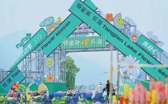 6d87e3c91ef2952b81c39ff08c7c2a15-sz_403087