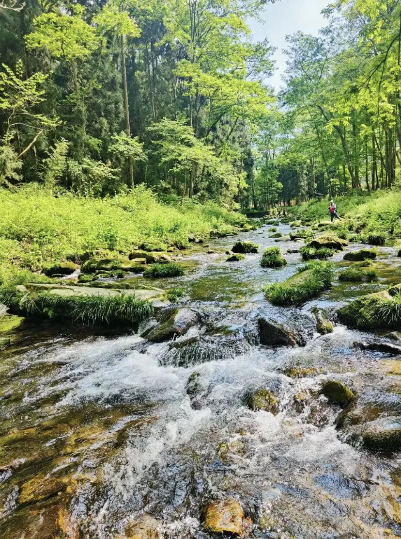 6da774736bd0e7faee1fc465c8ac8691-sz_2851085 6da774736bd0e7faee1fc465c8ac8691-sz_2851085