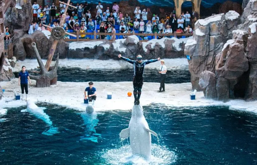 6dc356031bb2b3dea77d8cd01da9ef3b-sz_926897