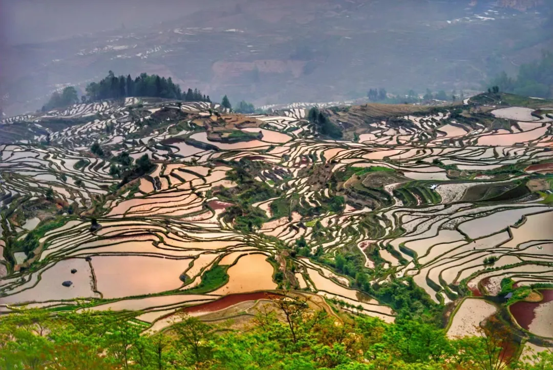 6dd2175f0a73668b98590656b3e50dac-sz_4051989