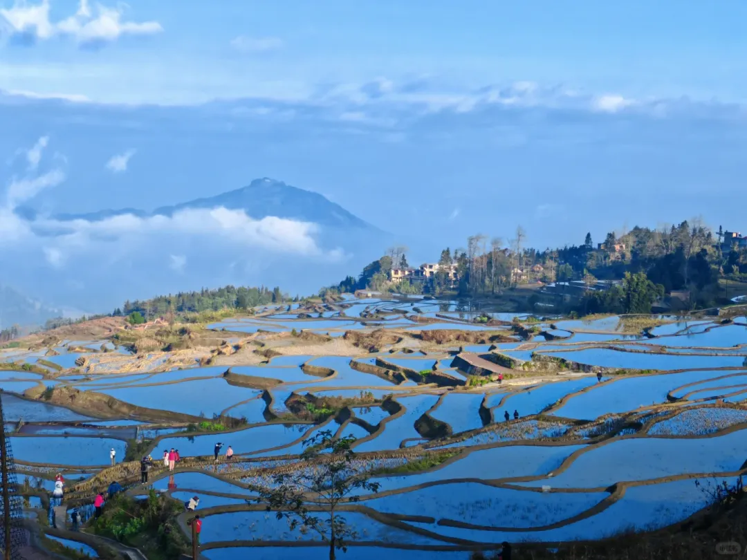 6e0a85e57df3708a4f5e213172f049b2-sz_1556555-1