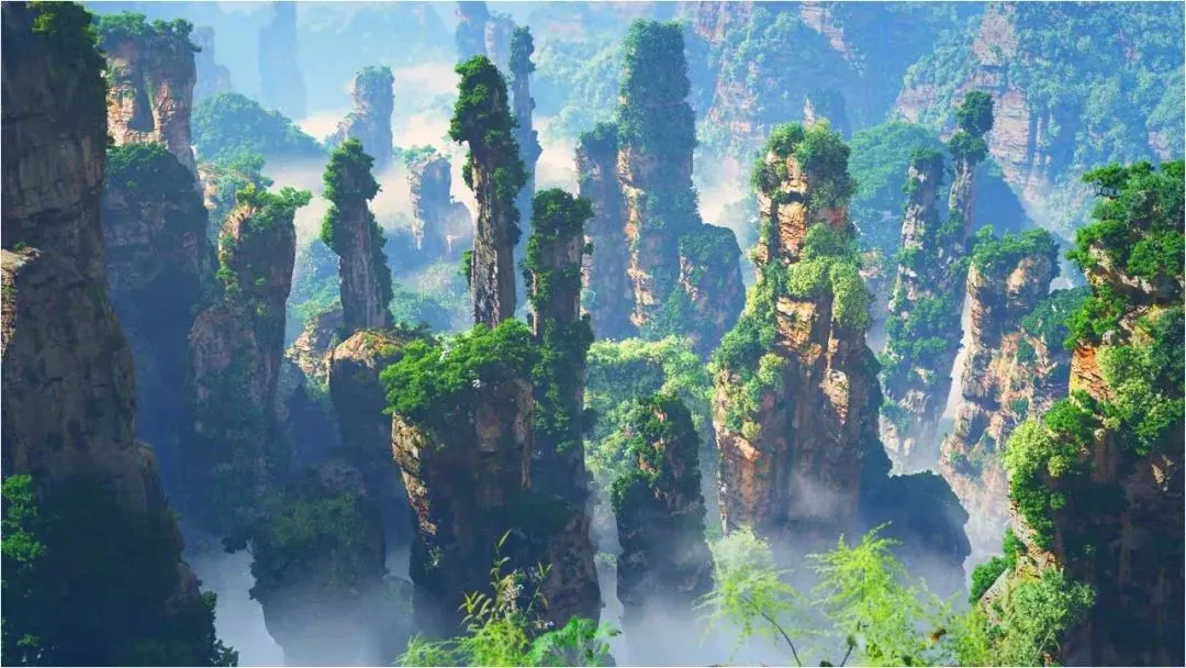 6e1cc89764de3fd35416803d505bbccf-sz_132616