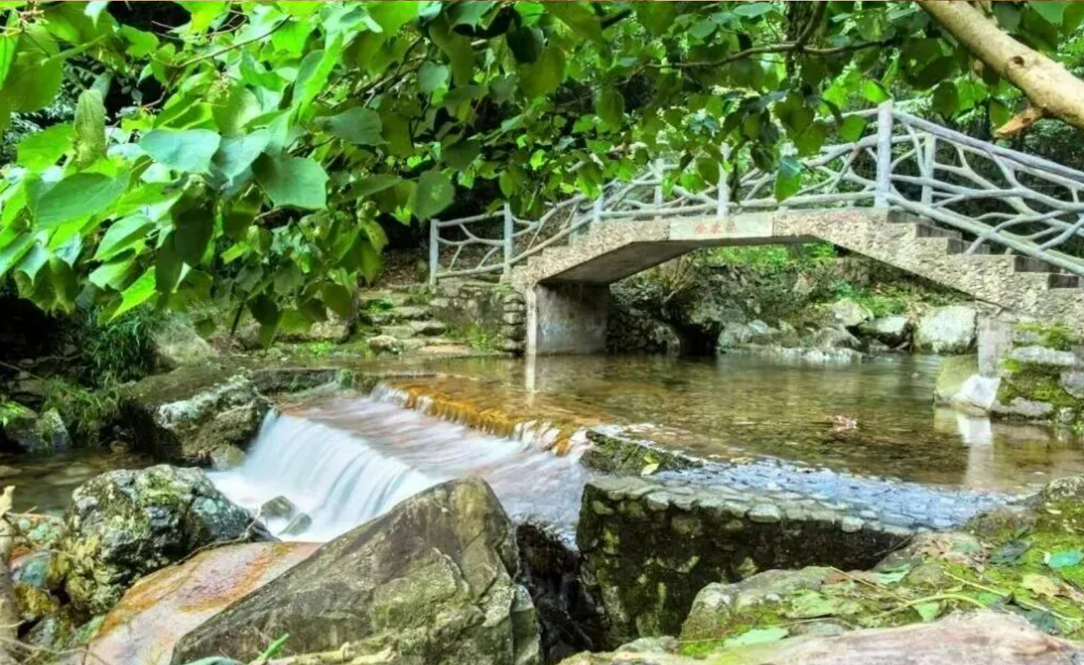 6e27e12ace215b3489736ed191eed8c0