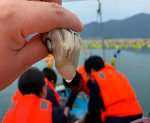 6e42fced2162d8bce8823c8635099a2e-sz_37274 6e42fced2162d8bce8823c8635099a2e-sz_37274