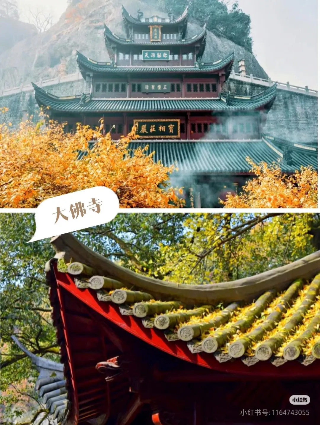 6e5cc5a98425c10c18067c8ac64f9981-sz_967117