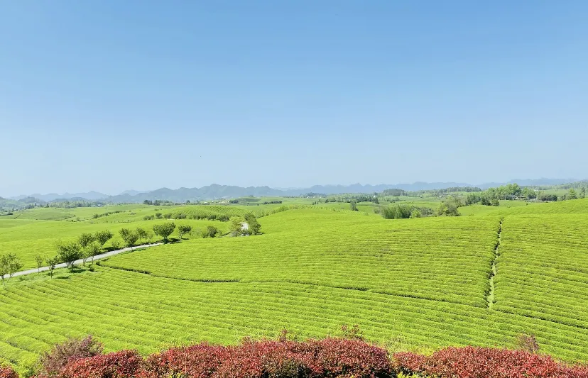 6e5d47c367320982a3cd94d50399c8f6-sz_792176 6e5d47c367320982a3cd94d50399c8f6-sz_792176