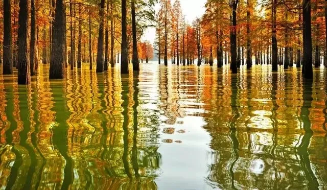 6e6017c20374f742f58a7d09849307ff-sz_86883