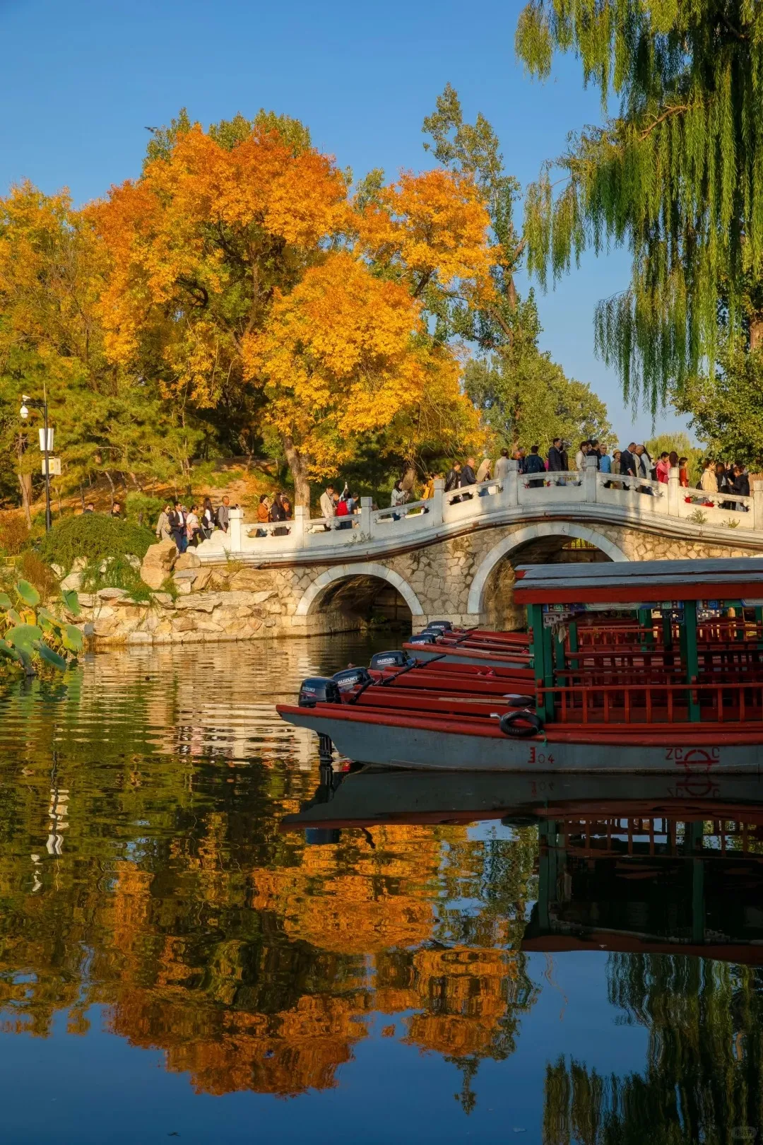 6e639da985375eb189f81c5fb3ae976c-sz_666039