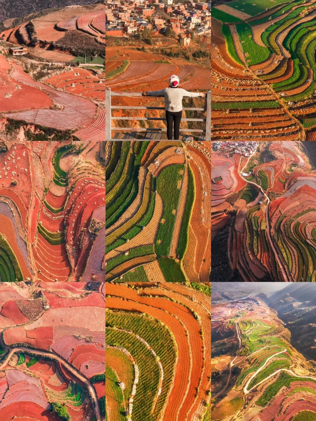 6e70358976da559b7835e5f146cc03c0-sz_968153