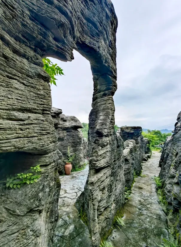 6e7da15db53f10beae714588c08d65b6-sz_1281201 6e7da15db53f10beae714588c08d65b6-sz_1281201