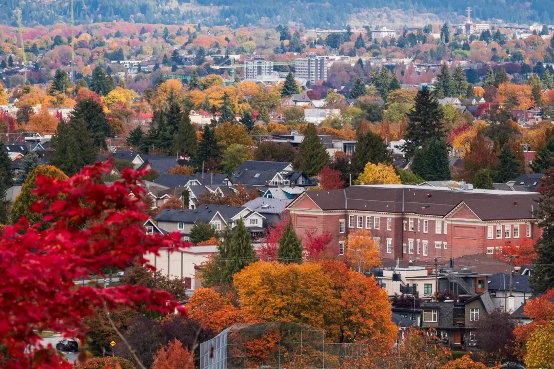 6e85bb6835e4a534fca1679f1dec5a79-sz_3677050 6e85bb6835e4a534fca1679f1dec5a79-sz_3677050