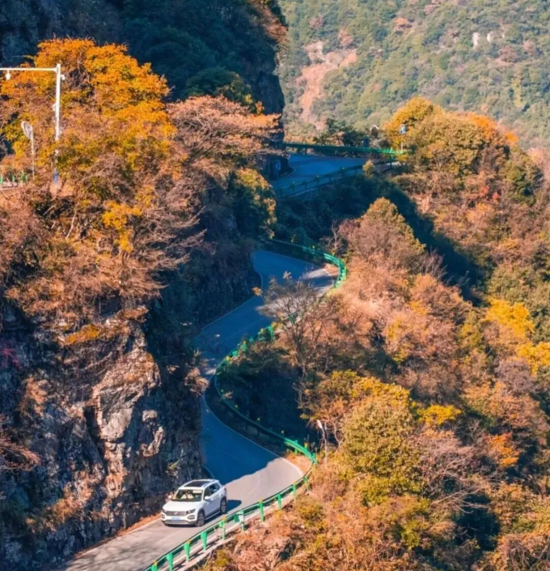 6e85f7a9811a44bdaace0c789f723eb4-sz_381145