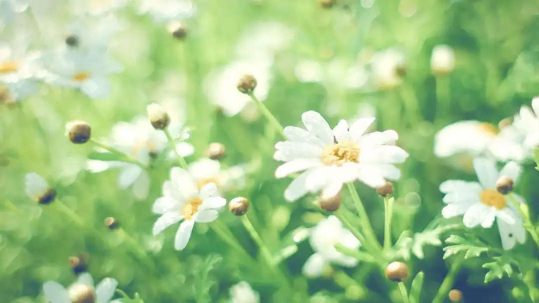 6ec68837ce8aebf2488cb1835bff3b70-sz_113269-1