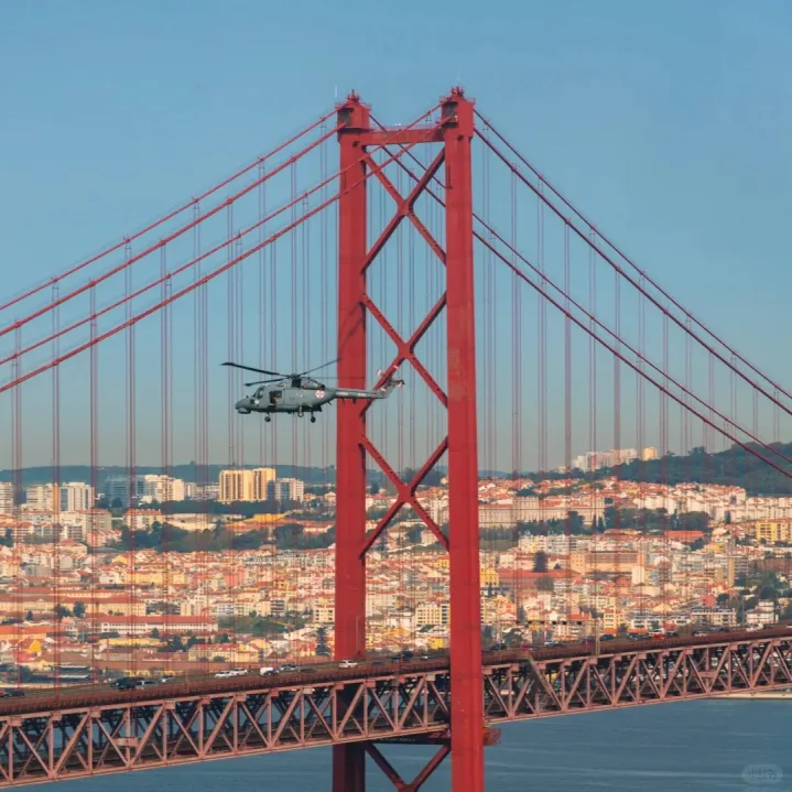 6f20bcb8388ab79dba1d331824db5325-sz_403011