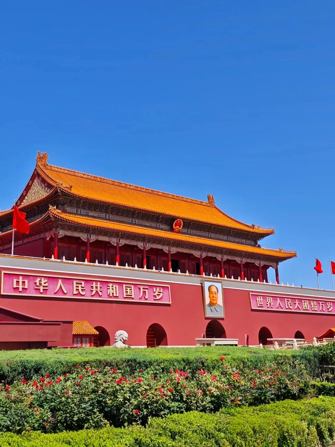 6f432fe6f6a4884559935c8ecd64a593-sz_404048