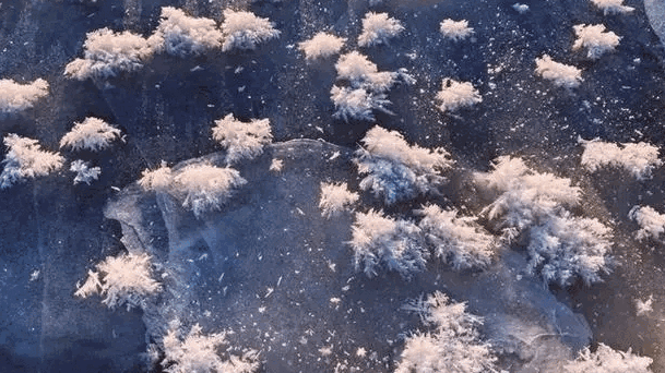 6f5ff55956be6c6b0ca44221b1de3a8f-sz_661404