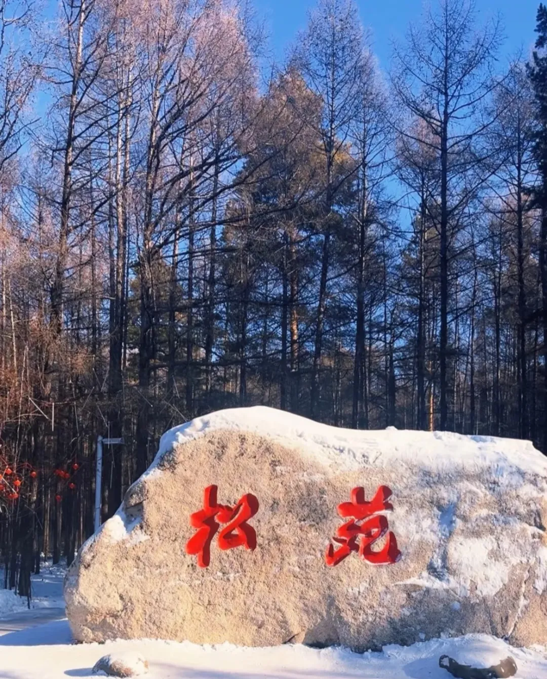 6f8aacf9e04fd9e6cbfa77023c37b66c-sz_645209-1