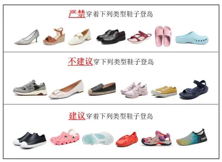 6f9a98ea9624e8a492da9a6653d598e7-sz_240569