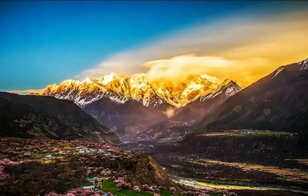 6faa7a4d0fb7cb72321a4d001f517418-sz_197690