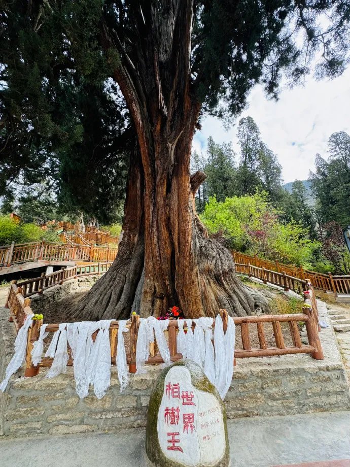 6fbf6b3bb73a0717bbe8eface8985657-sz_351956 6fbf6b3bb73a0717bbe8eface8985657-sz_351956