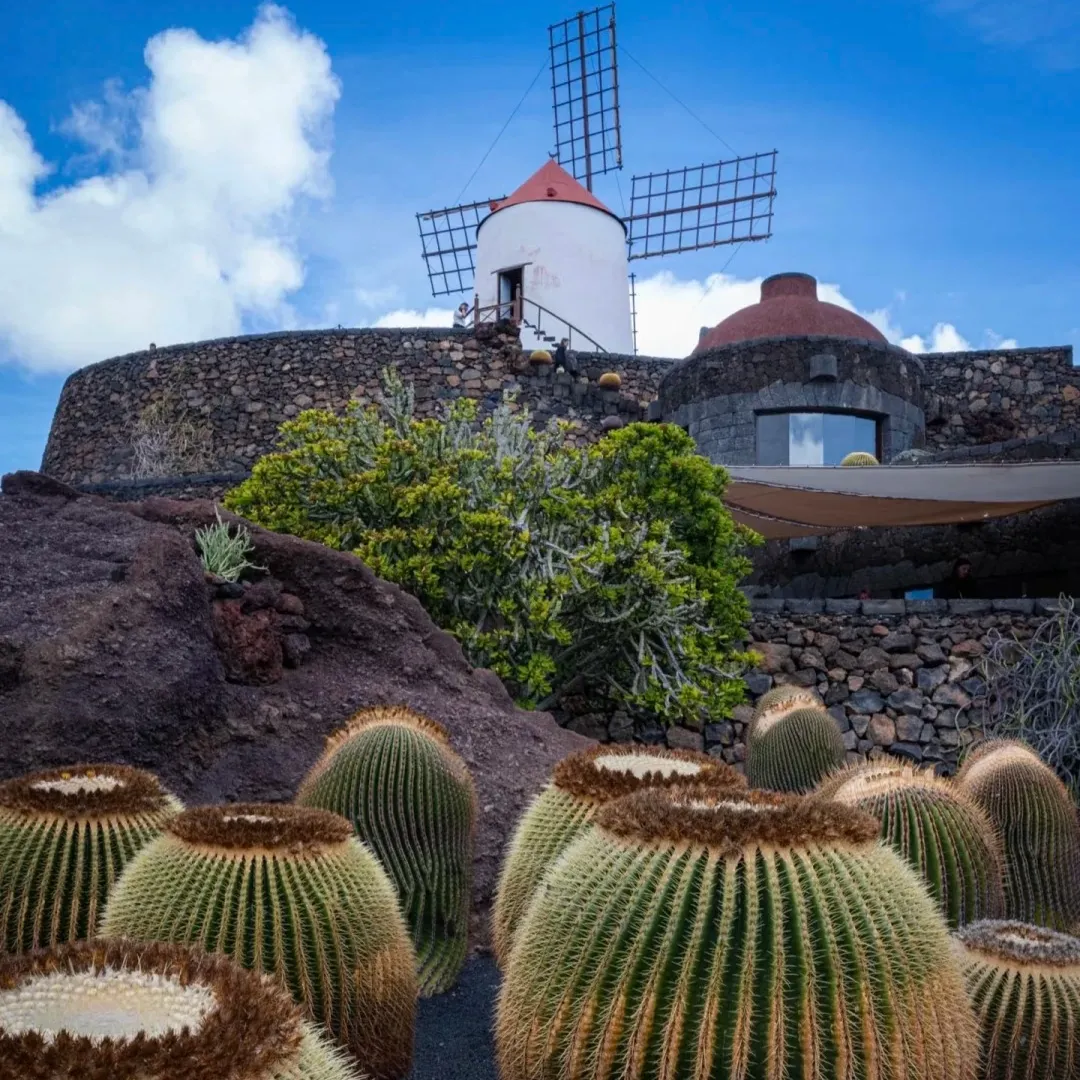 6fd15f77647b885b3abab90928de6ea8-sz_504959-1