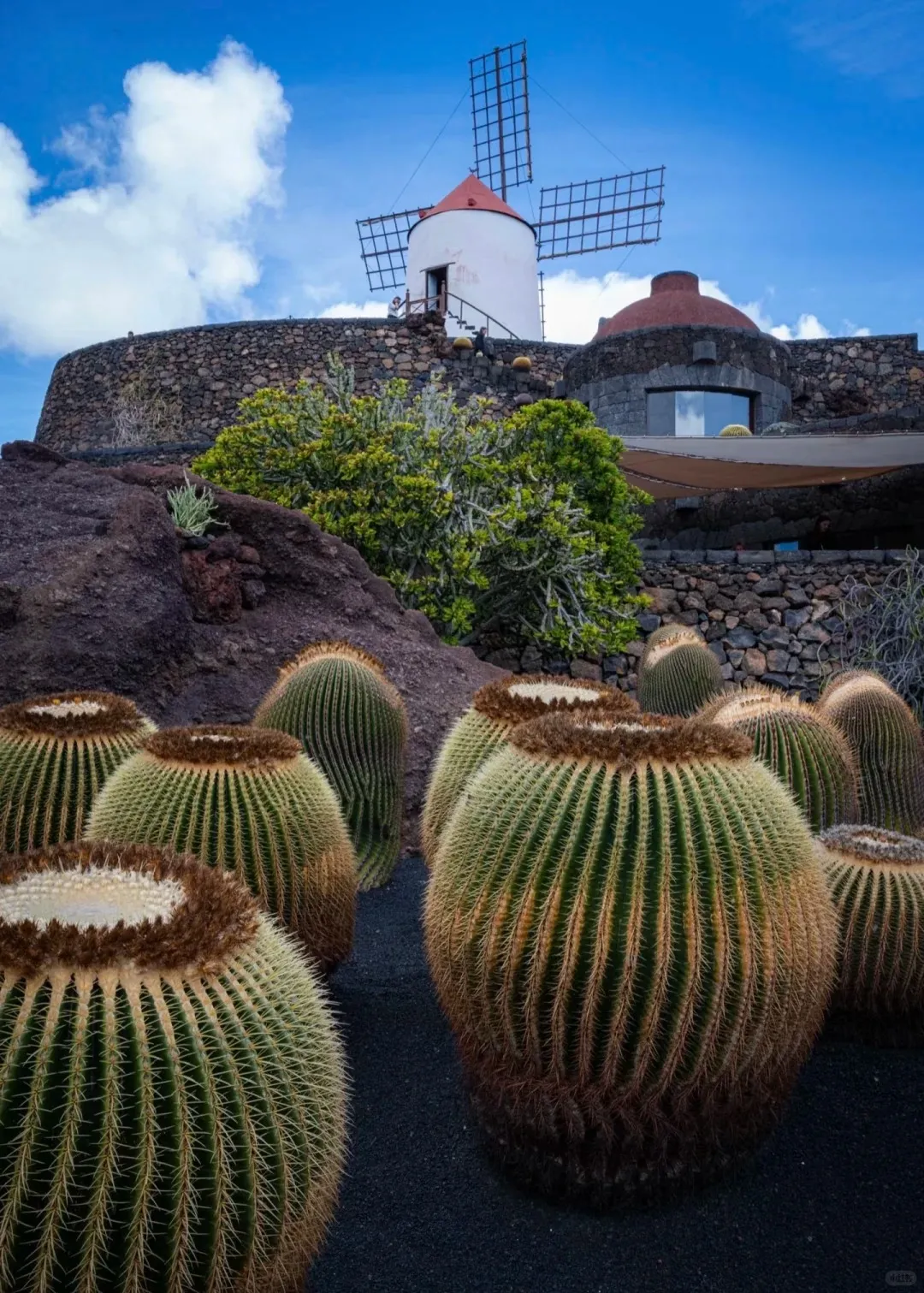 6fd15f77647b885b3abab90928de6ea8-sz_504959