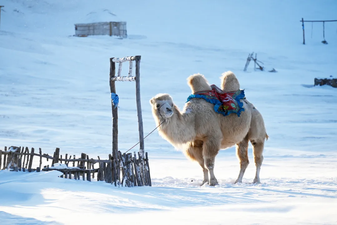 6fec89911f53b11cde43ec365f3609f6-sz_7447772 6fec89911f53b11cde43ec365f3609f6-sz_7447772