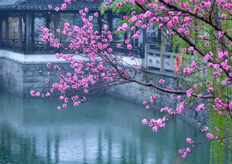 7000bd4d701edfa86bac738a3fea5504-sz_124303-2