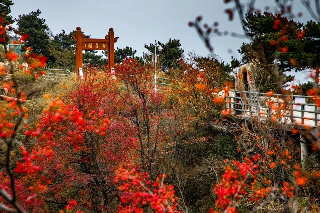 7031afd848e658f50b57791f934f4874-sz_350173 7031afd848e658f50b57791f934f4874-sz_350173