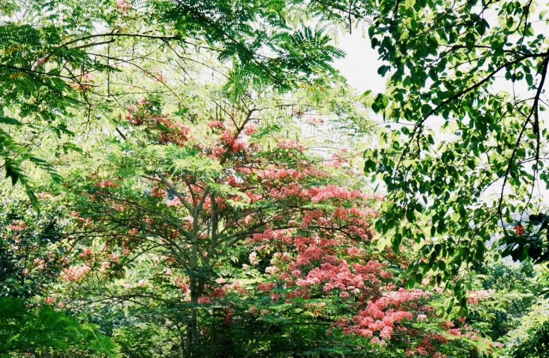 703826d7413e5c7ce3fe5dcb2ab54624-sz_542888