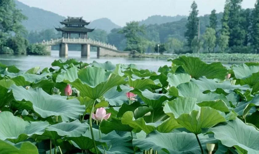 703d3b3192021023c15c5e17d5d24101-sz_690805-1 703d3b3192021023c15c5e17d5d24101-sz_690805-1