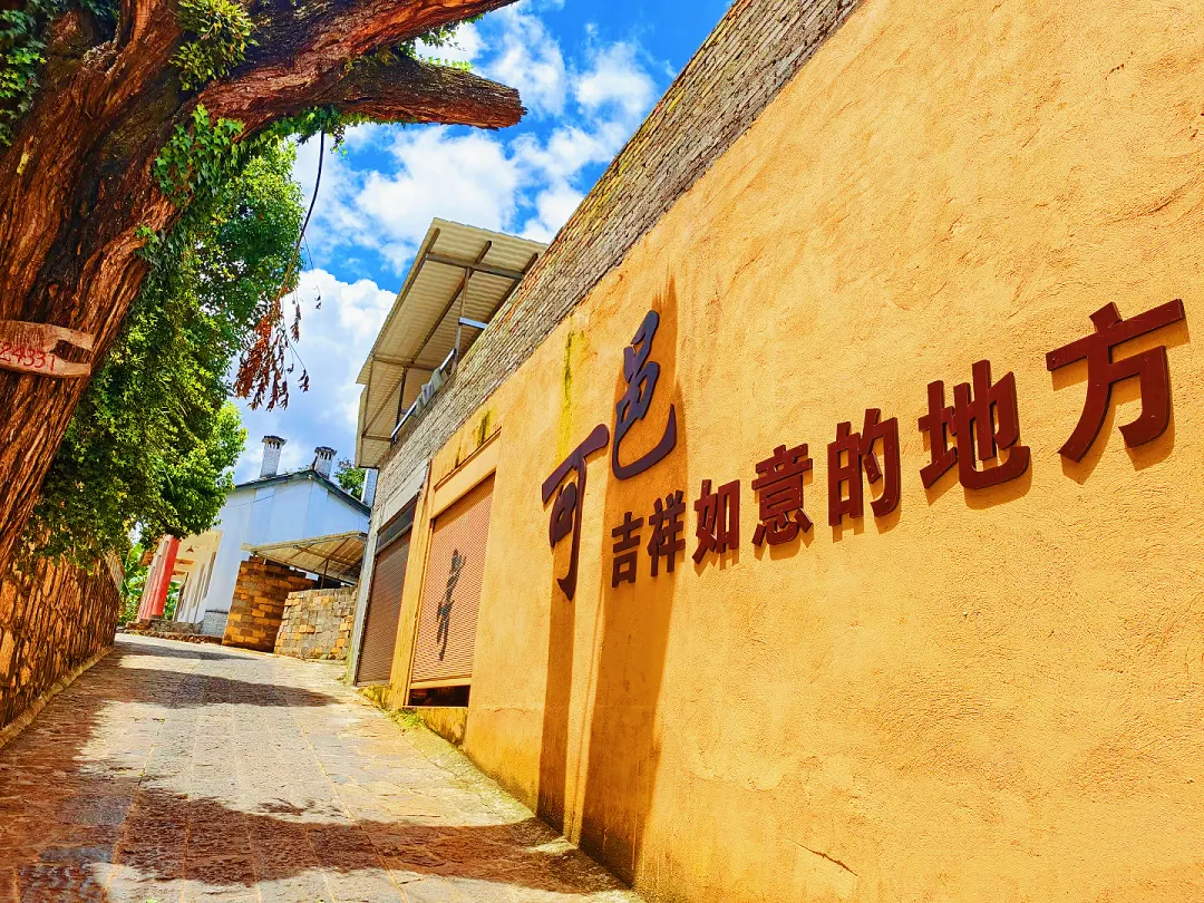 704bad40ee424f154c4122aeb3addeae-sz_4263408