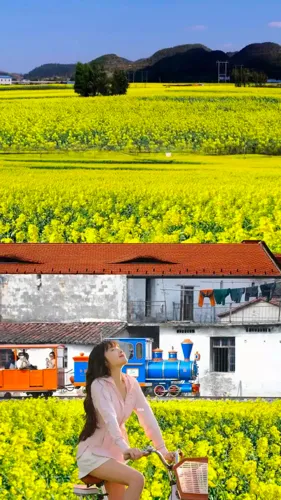 704d301709e886a759db35de66ee4f99-sz_321170