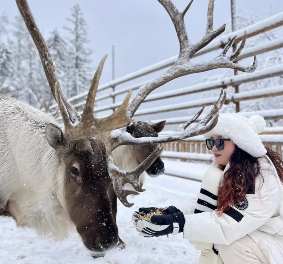 7069a6581fae54ba2dbb2fc140d29b1d-sz_1904738 7069a6581fae54ba2dbb2fc140d29b1d-sz_1904738