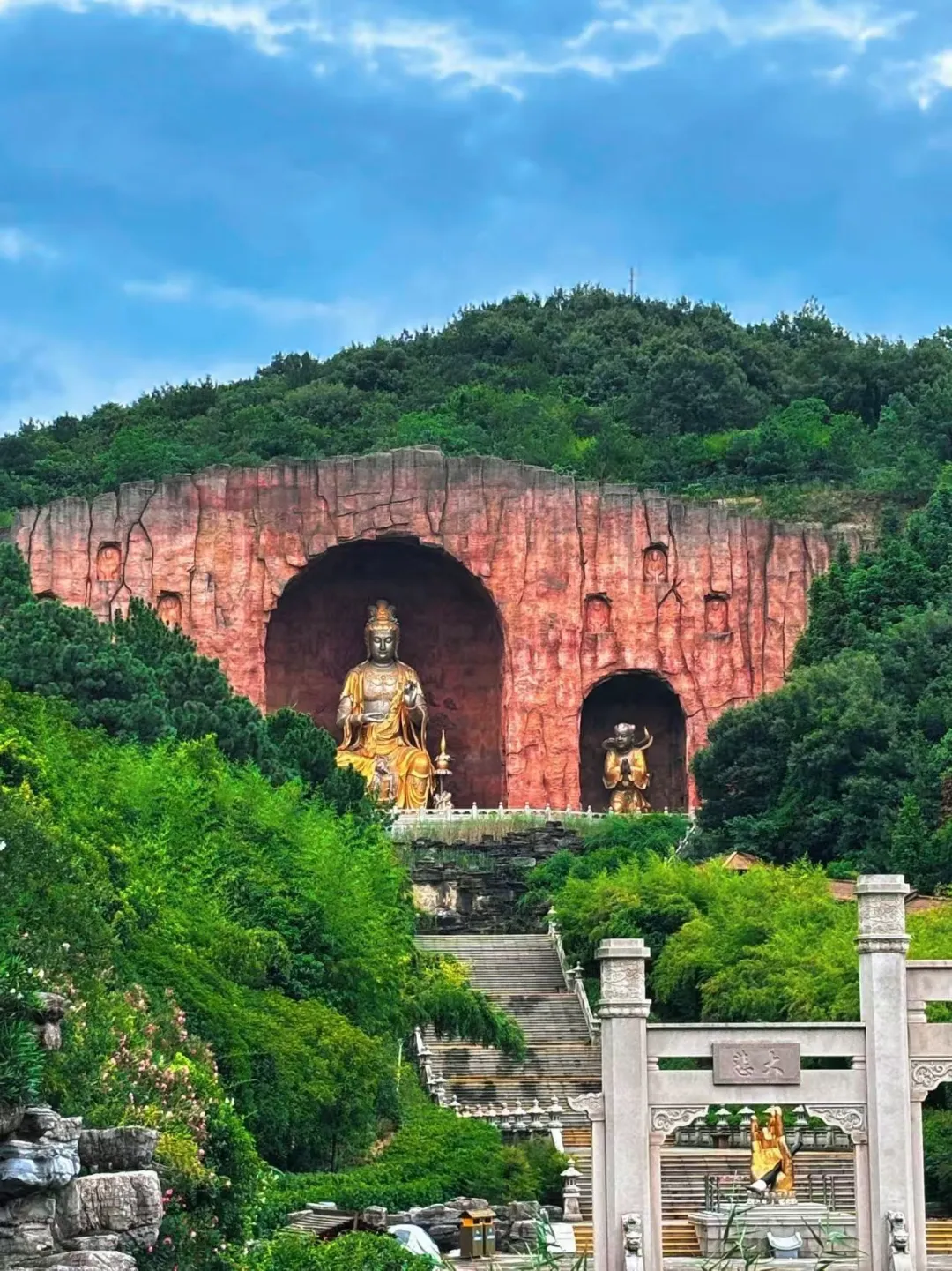 70805a90a19a08cf3c857430e3eb4af2-sz_437016